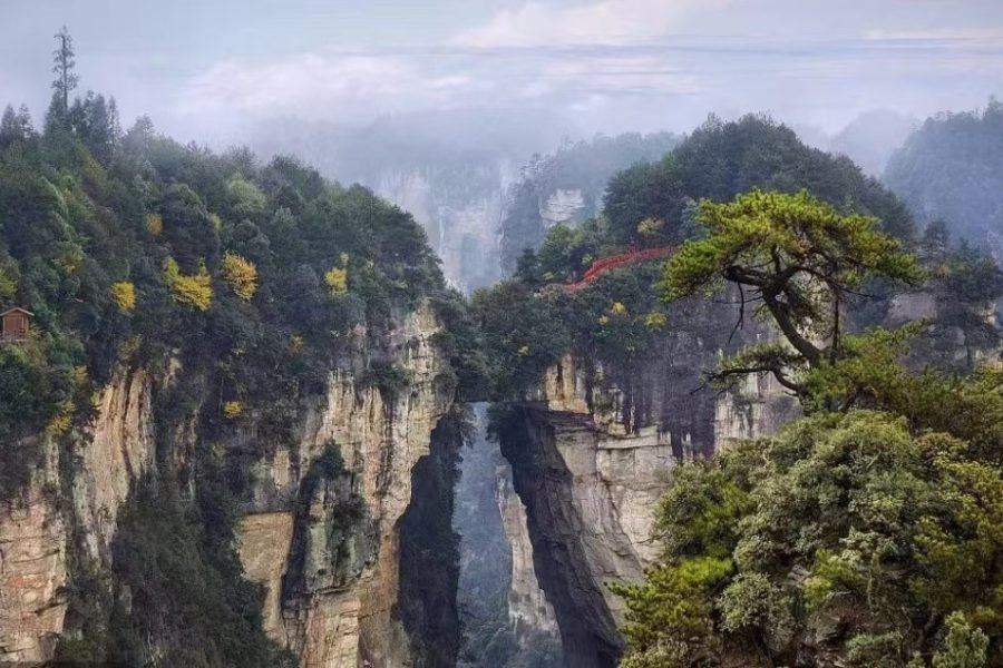 Zhangjiajie National Forest Park Day Tour