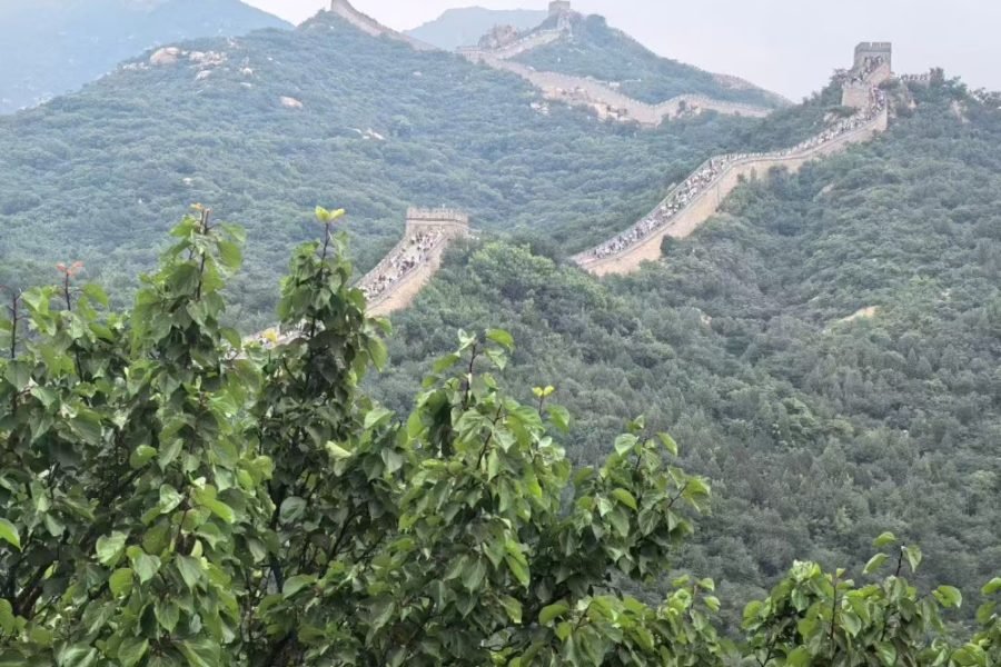 Mutianyu Great Wall & Shichahai Scenic Area Day Tour